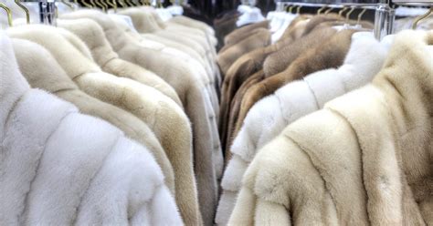 Open letter: fashion brands support a Fur Free Europe